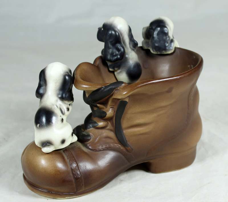 Three puppies on a shoe