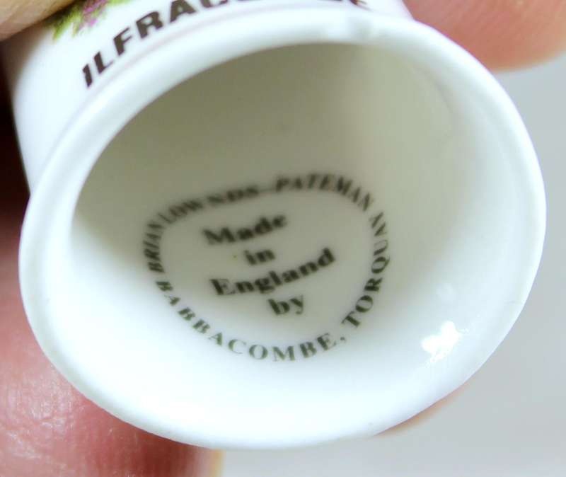 Bone China thimble - Ilfracombe - Brian Lownds