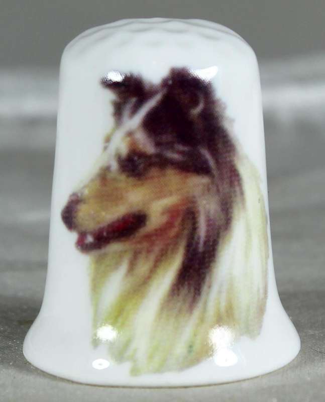Bone China thimble - collie - Stock-on-Trent