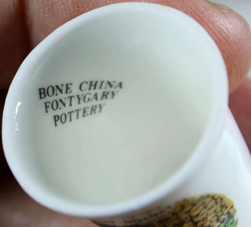 Bone China thimble - Lynton & Lynmouth - Fontygary potteries
