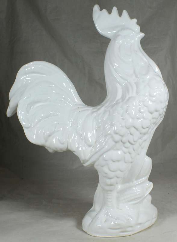 Very large white cockerel