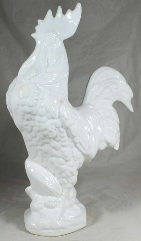 Very large white cockerel