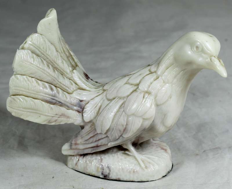Marble dove