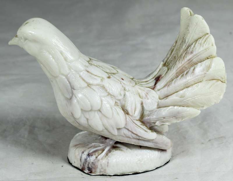 Marble dove