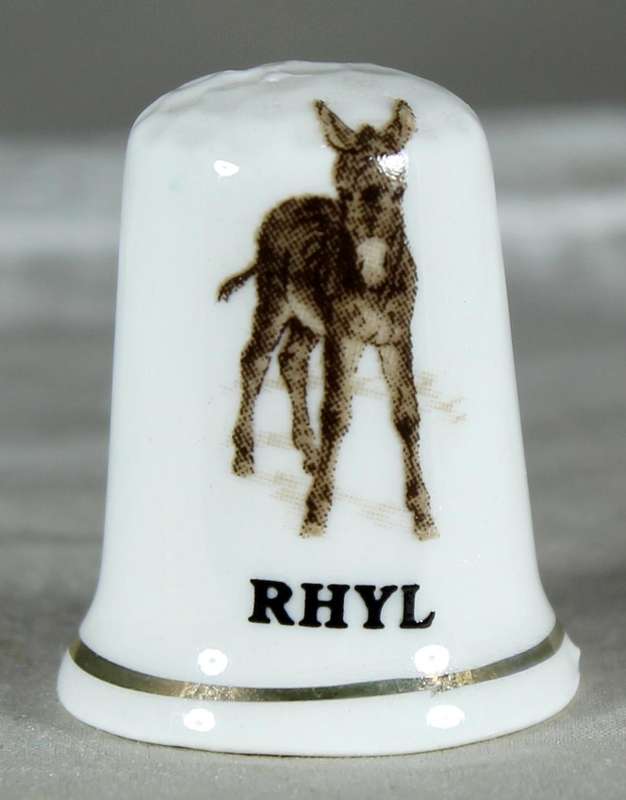 Bone China thimble - Rhyl