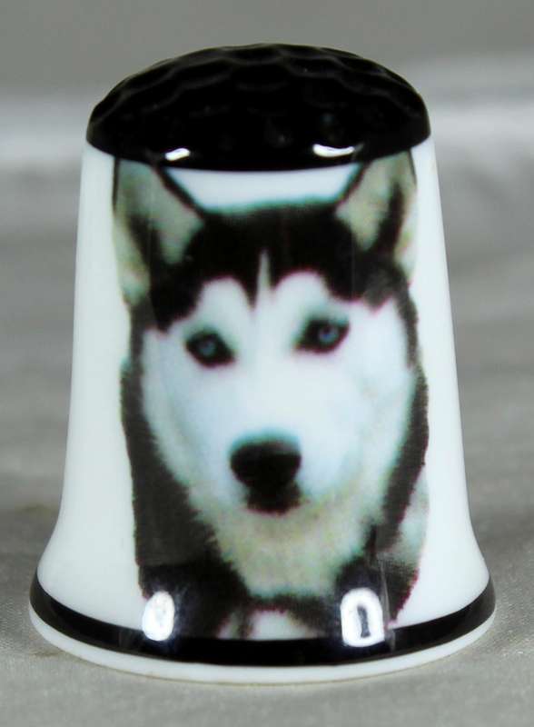 Bone China thimble - Siberian Husky