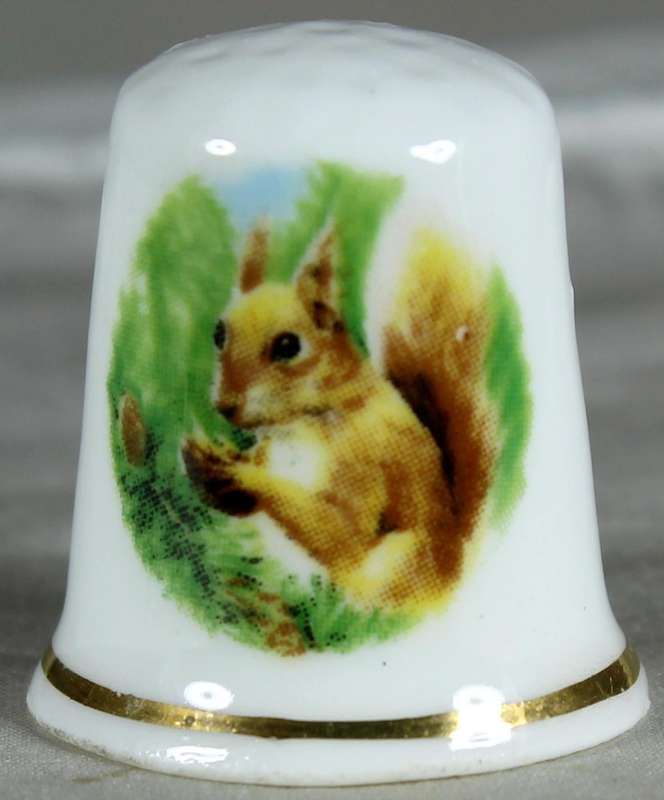 Bone China thimble - Squirrel