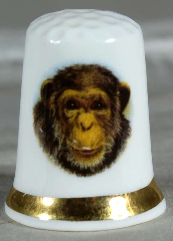 Bone China thimble - baboon - Finsbury
