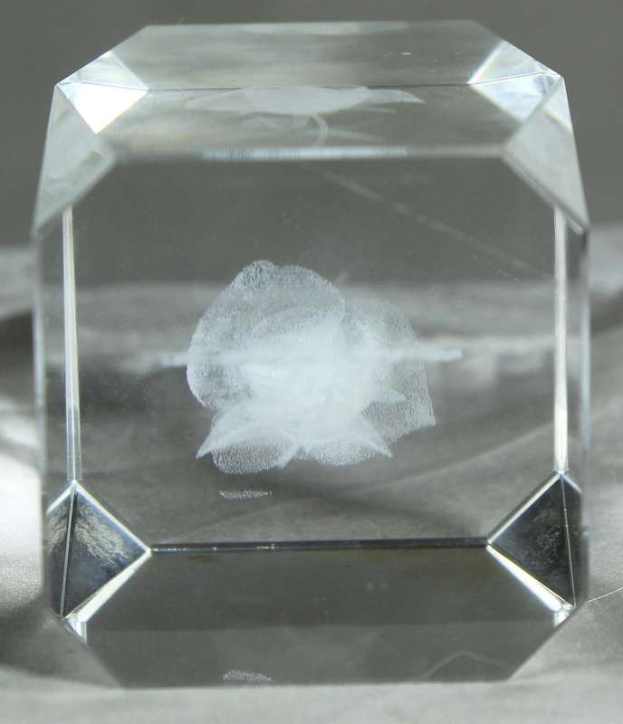 Etched rose paperweight