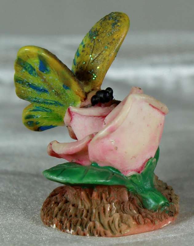 Miniature butterfly on a rose
