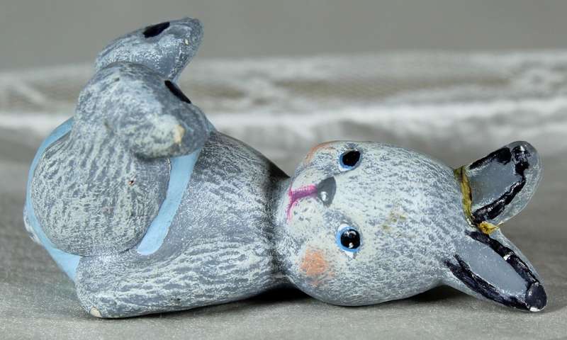 Miniature rabbit laying down