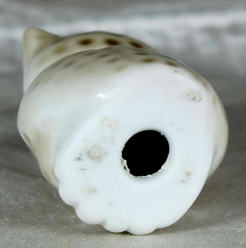 Miniature glazed owl