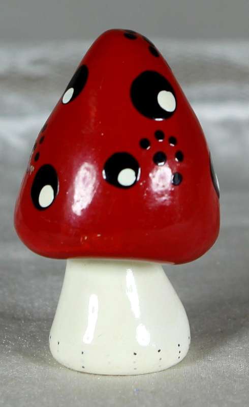 Miniature mushroom by Fay
