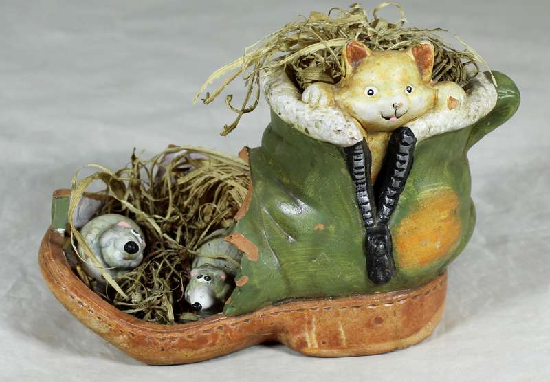 Cat and mice in shoe