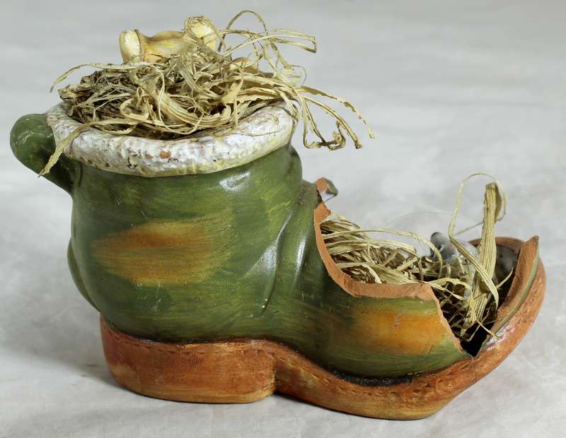 Cat and mice in shoe