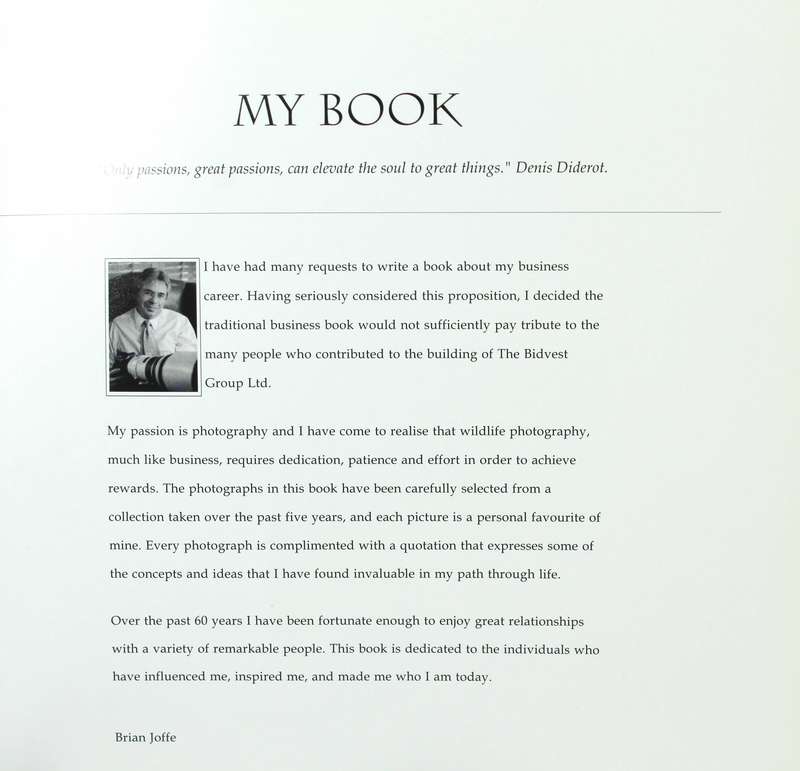 My Book - Brian Joffe - ISBN 0620384216