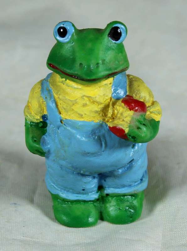 Miniature frog in dungaree's