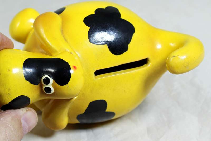 Doggie Money Box With Stopper