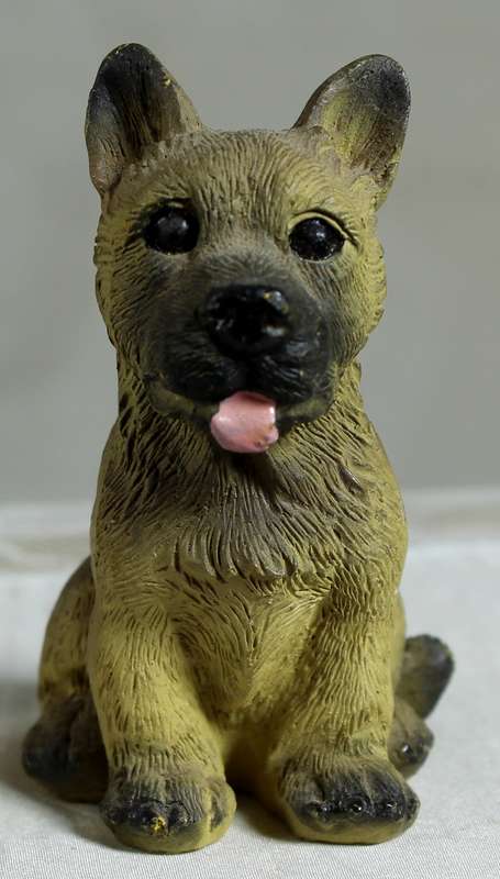 Shepherd Puppy  Sitting