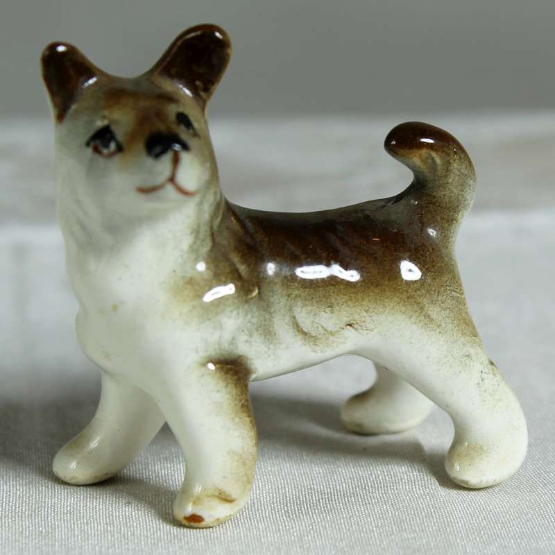 Miniature Puppy