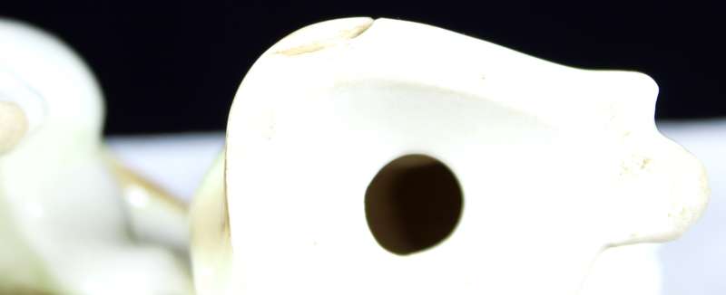 Pair of Cats Salt & Pepper Shaker Set