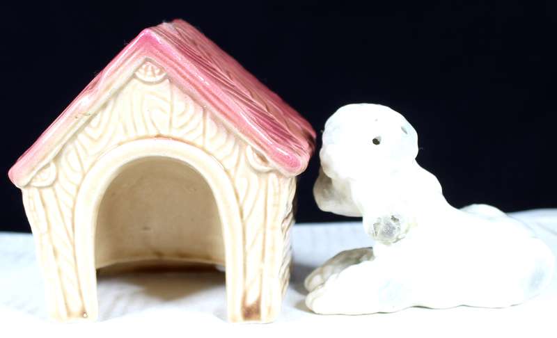 Porcelain Dog Kennel Salt & Pepper Set
