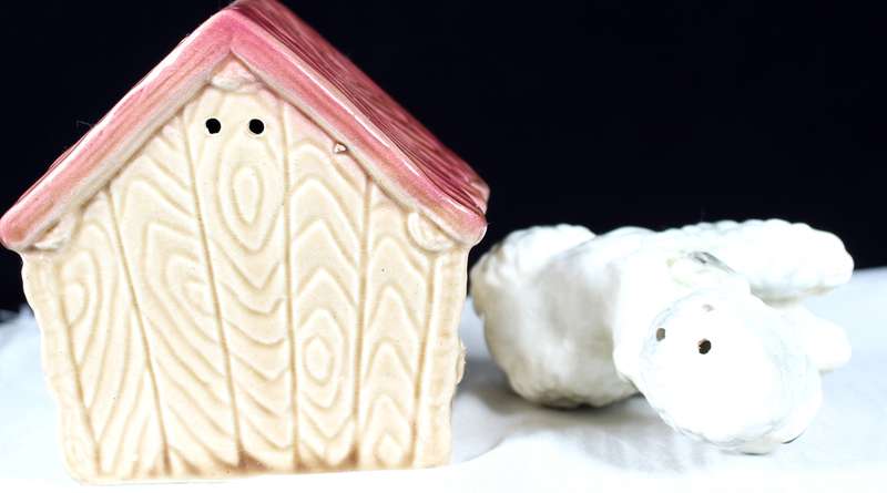 Porcelain Dog Kennel Salt & Pepper Set