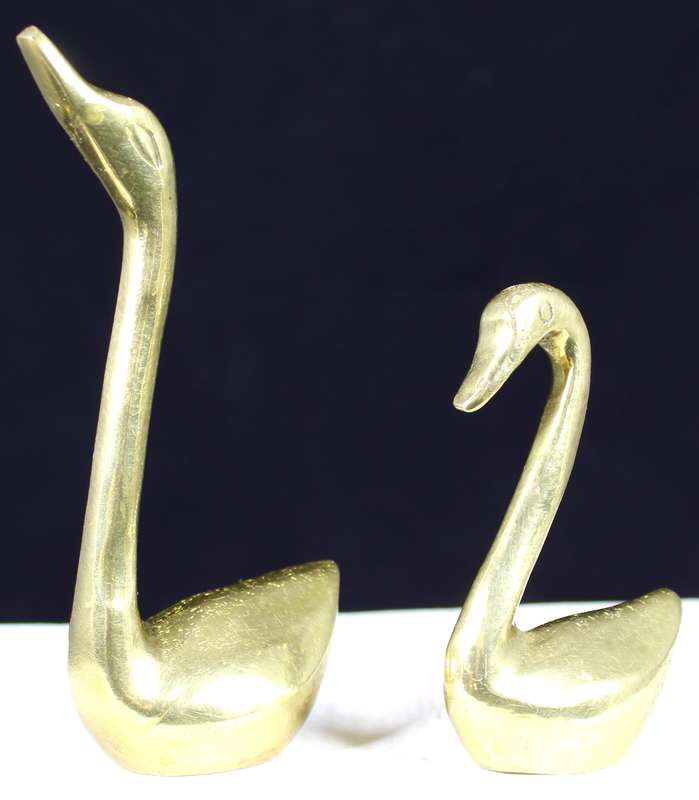 Pair of Swans