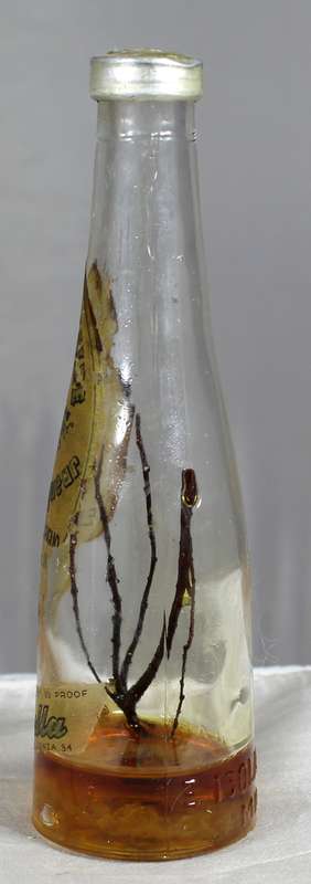 Mini liquor bottles - E. Isolabella - Desert liqueur