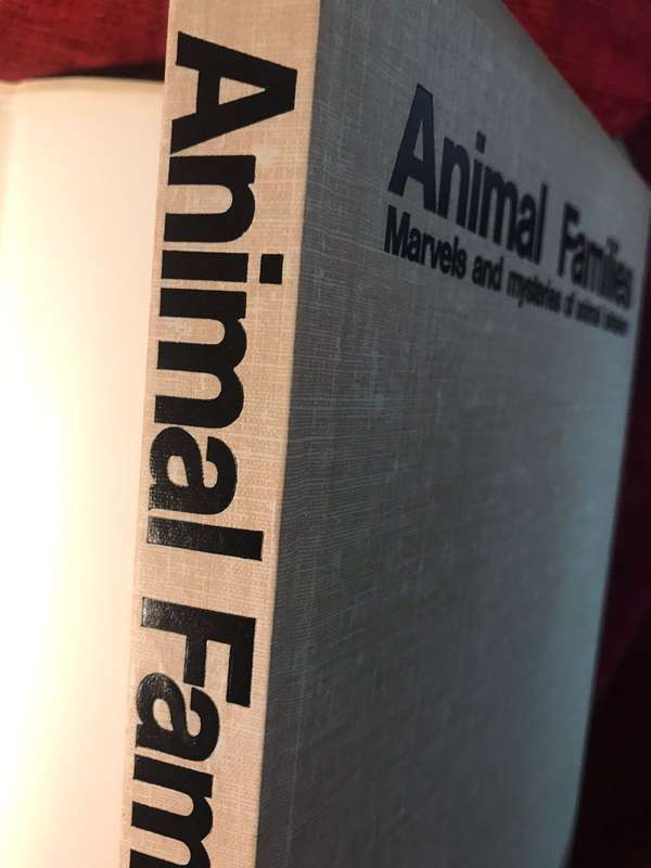 Animal Families: Marvels and Mysteries of Animal Behavior - Glen McBride & NJ Berrill