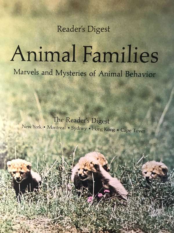 Animal Families: Marvels and Mysteries of Animal Behavior - Glen McBride & NJ Berrill