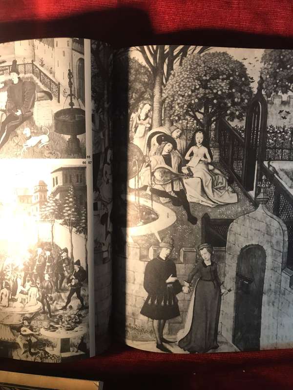 The Garden: An Illustrated History - Julia S Berrall