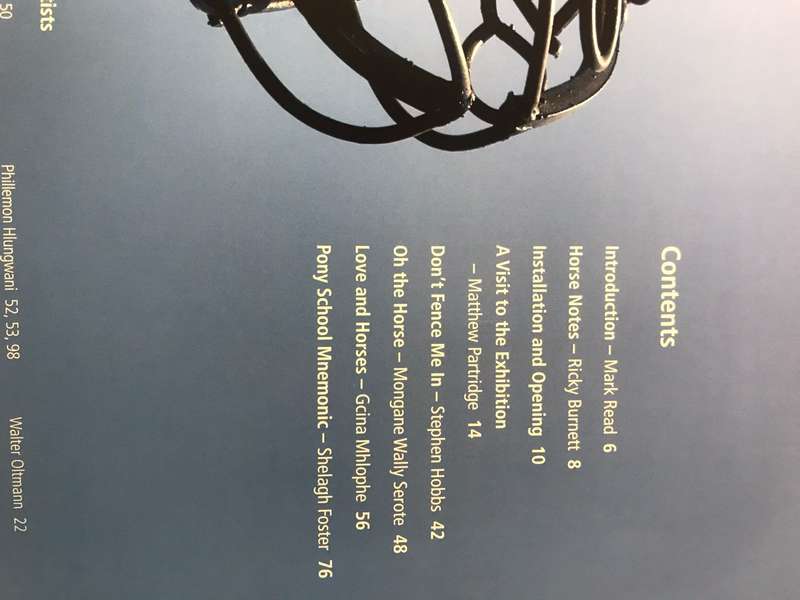 Horse: Multiple views of a singular Beast | Exhibition Catalogue | 60 South African Artists