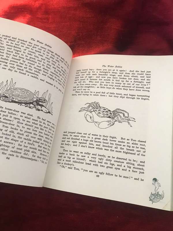 The Water Babies - Charkes Kingsley (Robert Frederick Classics)