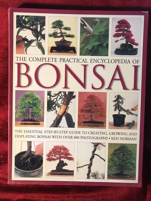 The Complete Practical Encyclopedia of Bonsai: The Essential Guide - Ken Norman