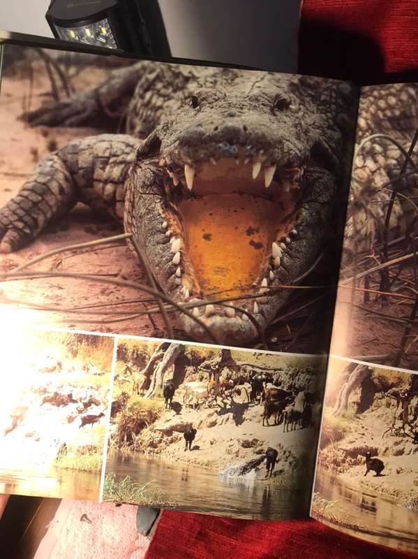 Okavango: Sea of Land, Land of Water - Peter Johnson & Anthony Bannister (1977 1st Ed Hardcover)