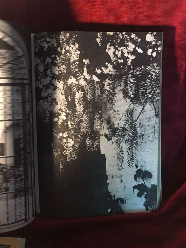 The Garden: An Illustrated History - Julia S Berrall
