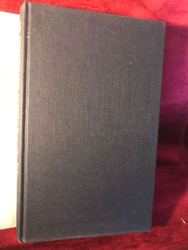 An Important Family:: A Novel About New Zealand - Dorothy Eden (1982 1st Edition Hardcover)
