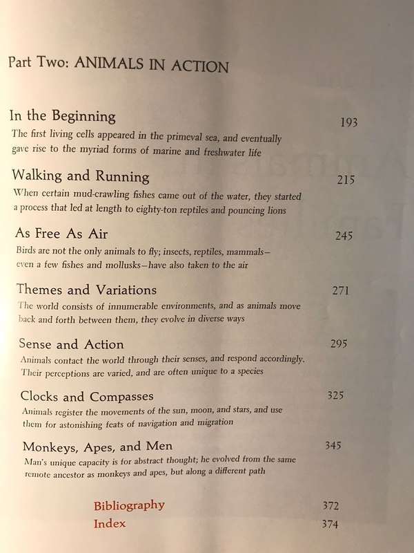 Animal Families: Marvels and Mysteries of Animal Behavior - Glen McBride & NJ Berrill