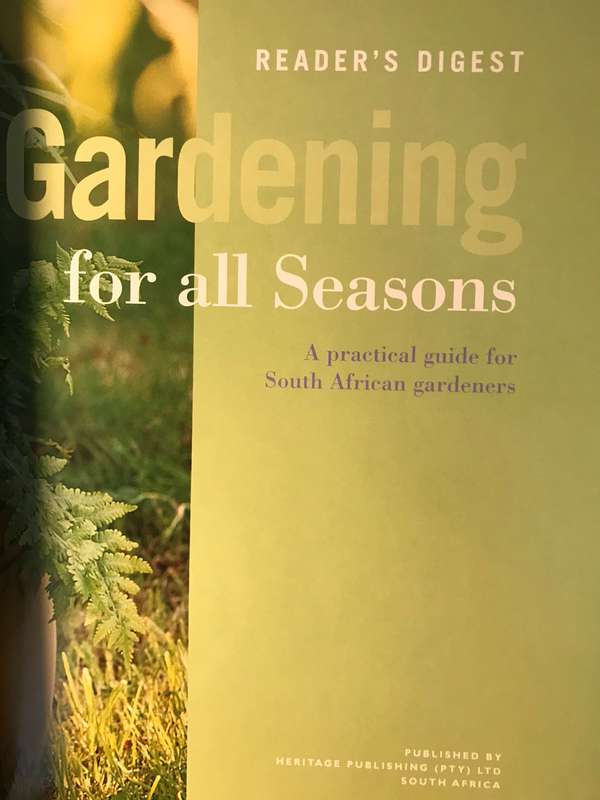 Container Gardening for All Seasons: A Practical Guide for South African Gardeners