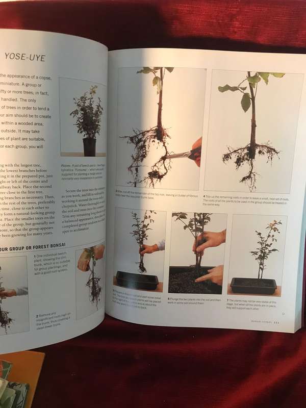 The Complete Practical Encyclopedia of Bonsai: The Essential Guide - Ken Norman
