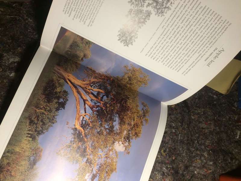Bushveld Trees: Lifeblood of the Transvaal Lowveld - Malcolm Funston (2005 Hardcover)