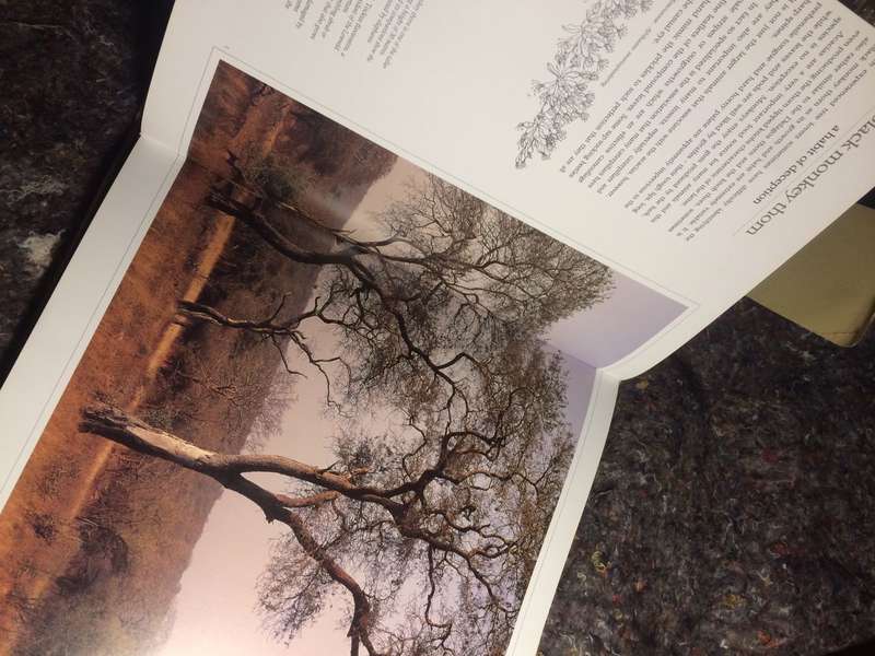 Bushveld Trees: Lifeblood of the Transvaal Lowveld - Malcolm Funston (2005 Hardcover)