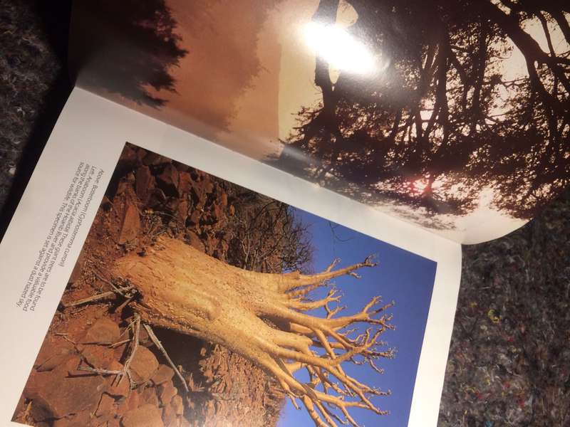 Twilight of the Giants - Clive Walker (1st Edition Hardcover)