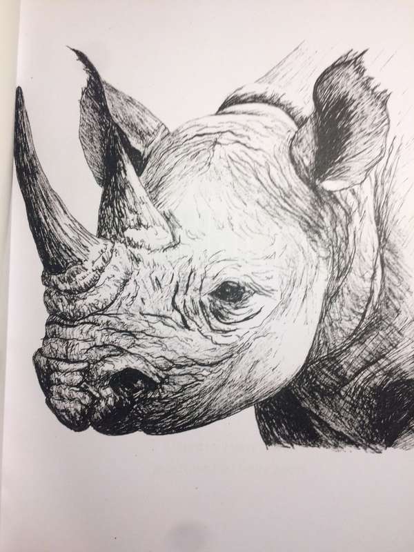 For Rhino in a Shrinking World: An International Anthology (2013 1st Edition)