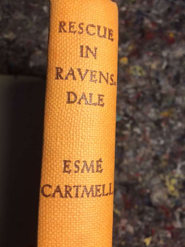 RESCUE IN RAVENSDALE - Esme Cartmell (1st Edition Hardcover)