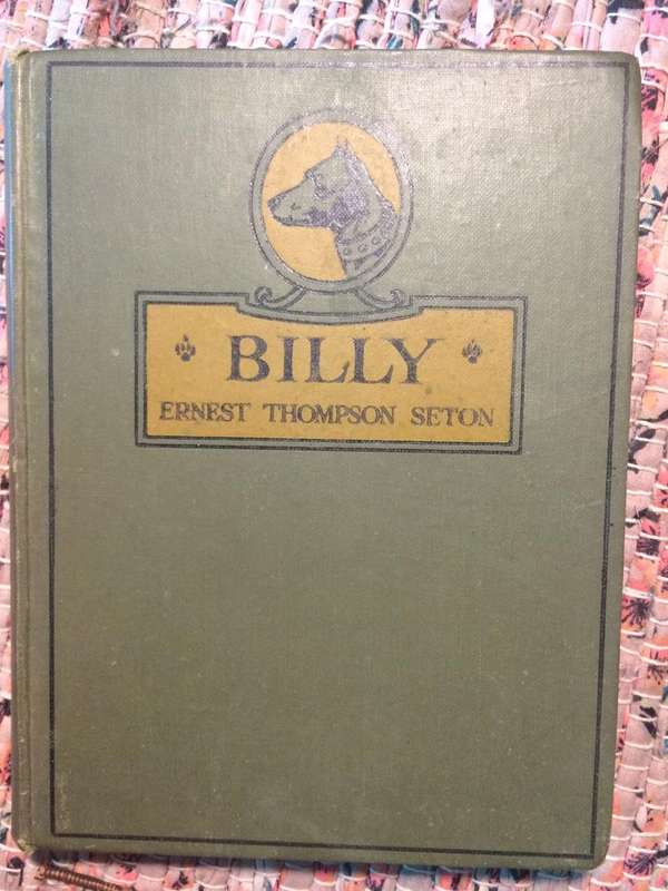 Billy And Other Stories From Wild Animal Ways - Ernest Thompson Seton (1924 1st Edition)