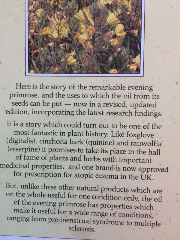 Evening Primrose Oil - Judy Graham