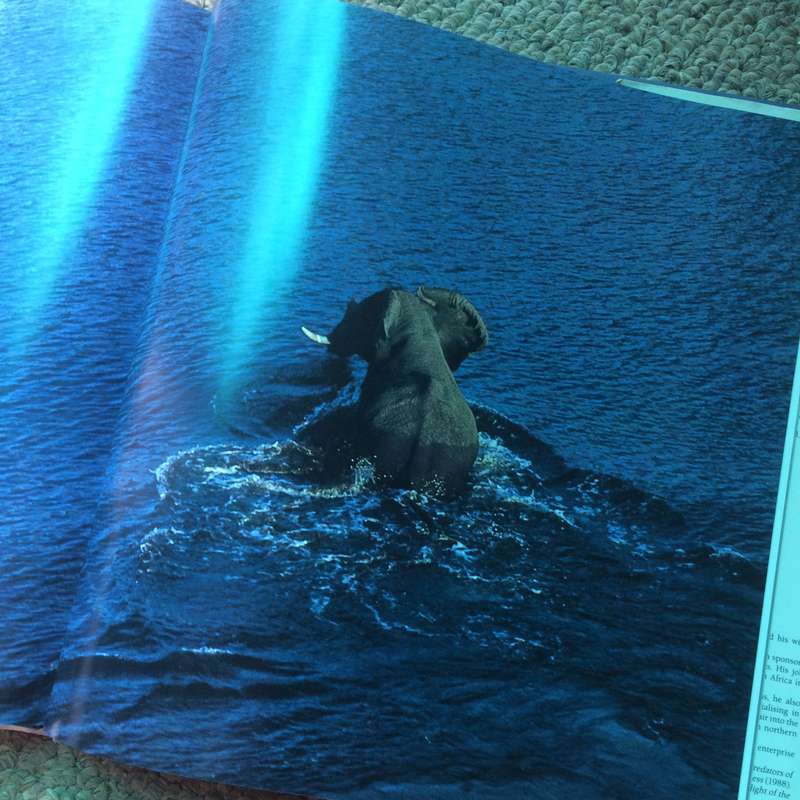 Okavango from the Air - Herman Potgieter & Clive Walker (1989 1st Edition Hardcover)