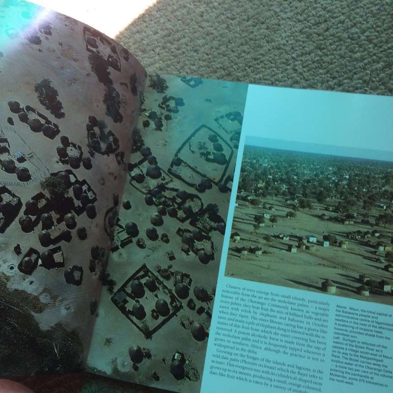 Okavango from the Air - Herman Potgieter & Clive Walker (1989 1st Edition Hardcover)